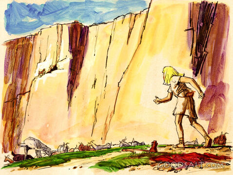 Discovering the Dead Sea Scrolls