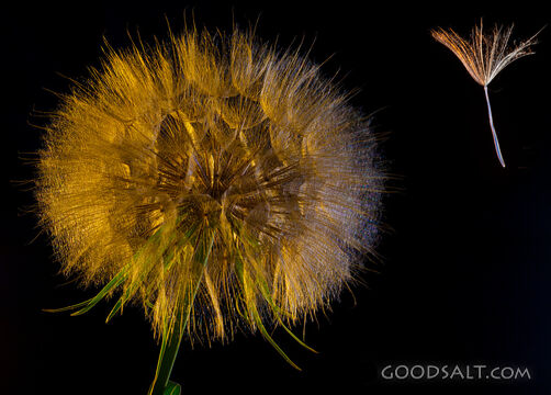 Don\'t  Always Try and Fit in, You Are Special