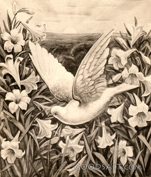 Dove and Lilies