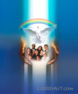 Dove Rainbow People Hands