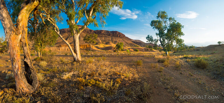 dry outback yellow scenery