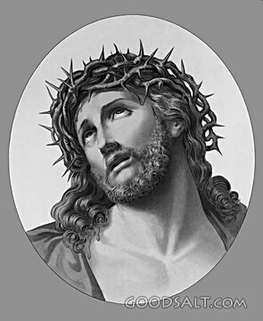 Ecce Homo (Head of Christ on Cross)
