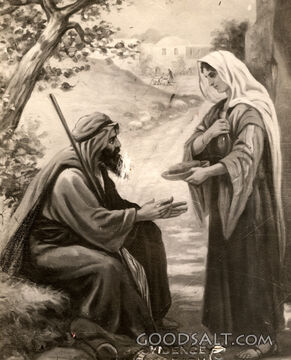 Elijah and the Widow