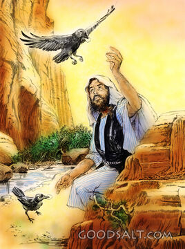 Elijah Being Fed By Crows