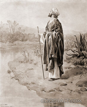 Elijah Goes to Heaven