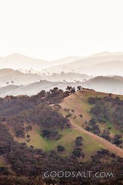 Endless ridge tops and scattered trees.