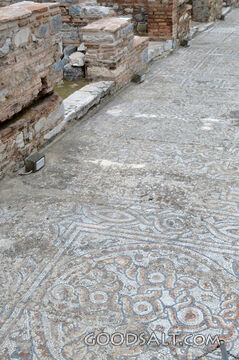 Ephesus Ruins - Mosaics
