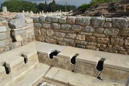 Ephesus Toilet