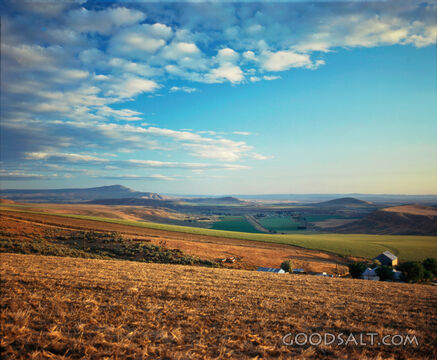 Eventing on the Farm