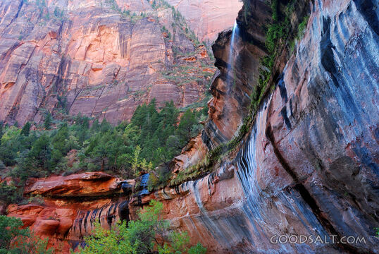 Falls Into Lower Emerald Pool, Zion NP