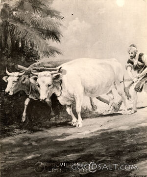 Farmer Plowing Fields