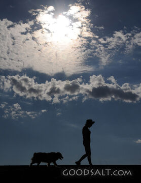 Female Comteplative Walking With Dog Following