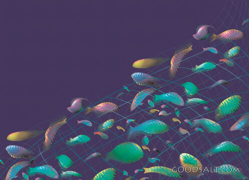 Fish Caught in a Net