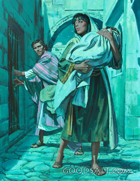Flight to Egypt