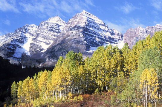 Forest and Mountains