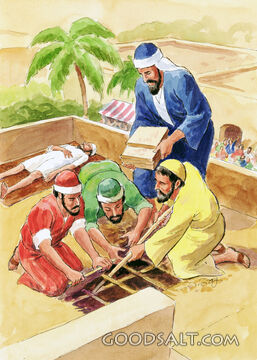 Friends of a Paralytic