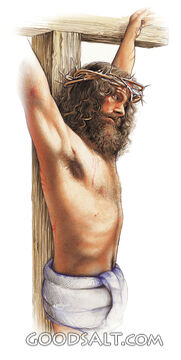 Front Right Side View of Jesus on the Cross