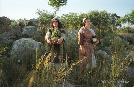 Gathering Wild Herbs