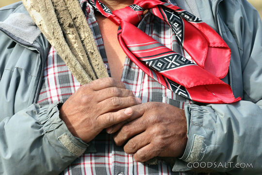 Gaucho's Hands