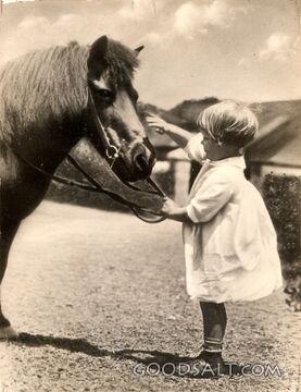 Girl with Horse