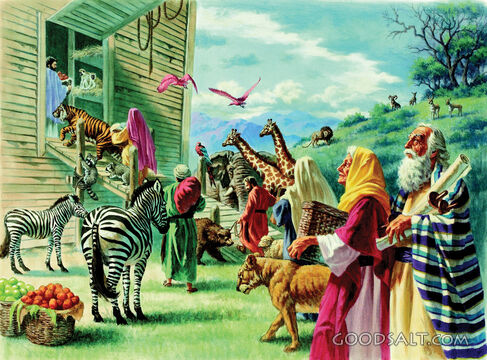 God Cared for Noah