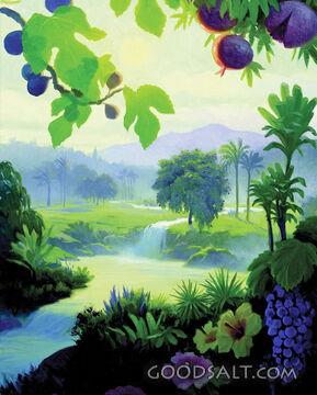 God Made a Beautiful World