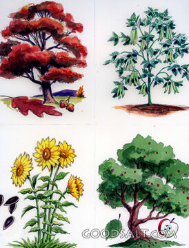 God Made Growing Things