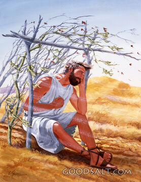 God Shows Jonah His Love