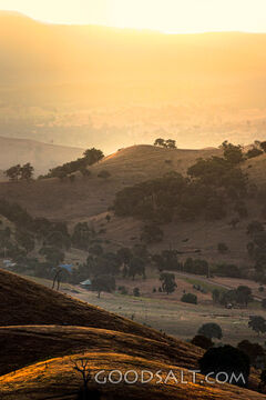 golden late sun bathes country scene and hillsides in misty light.
