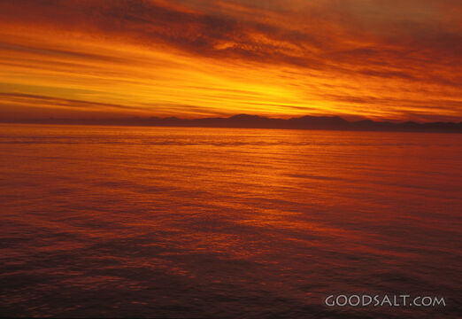 Golden Sunset over the Ocean