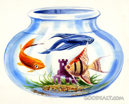 Goldfish in Bowl