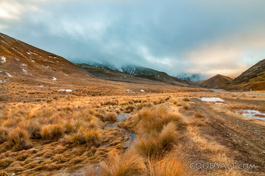 Grassy high country near mountains.