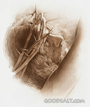 Head  View of Jesus Wearing Crown of Thorns