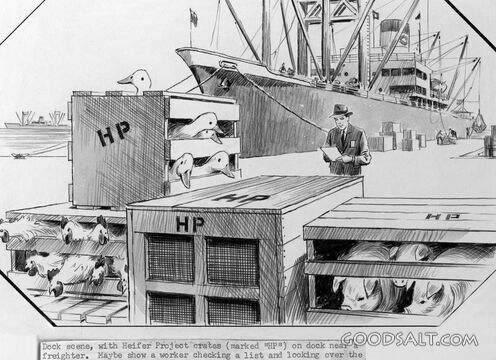 Heifer Project Crates with Animals