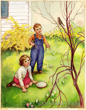 Helping the Nesting Birds