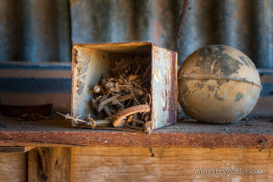 heritage remains An abandoned farm house