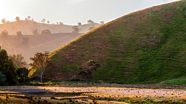 Hilly farmland with great skies and scattered trees.