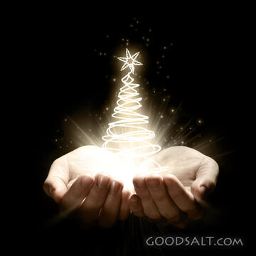 Holding a Christmas Tree