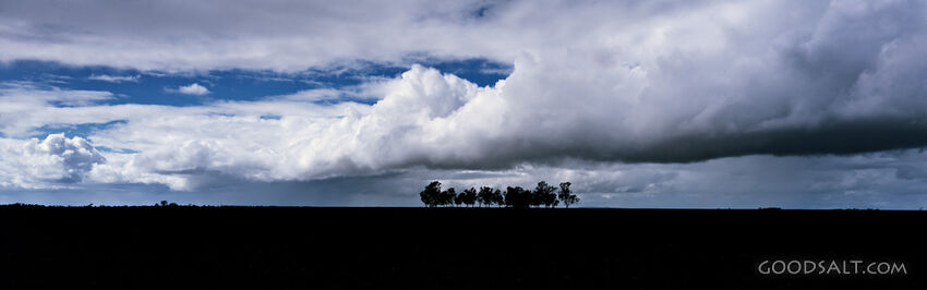 Horizion With Trees and Clouds