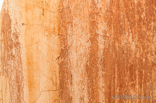 Interior wall inside abandoned farmhouse.