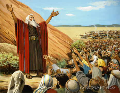 Israelites Promise Obedience