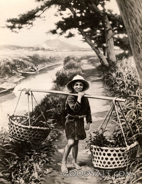 Japanese Boy Farmer