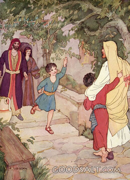 Jesus, A Welcom Visitor