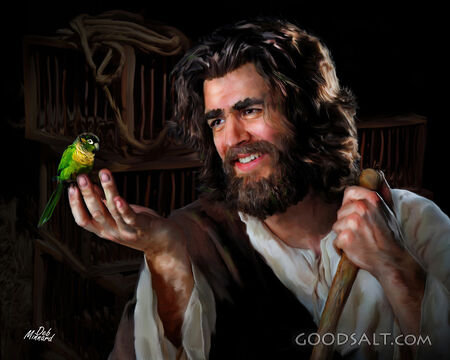 Jesus and a Bird