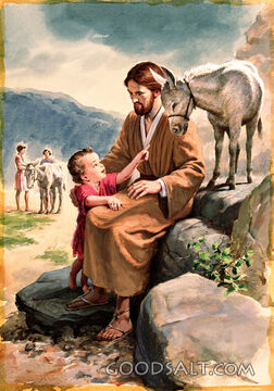 Jesus and the Donkeys