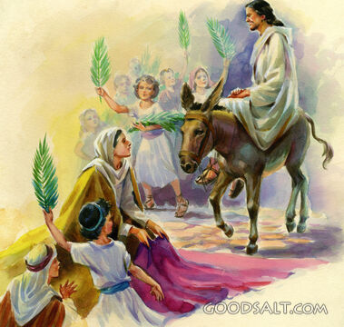 Jesus Enters Jerusalem