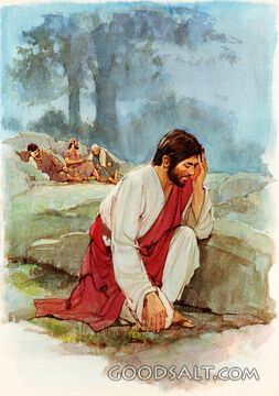 Jesus in Gethsemane