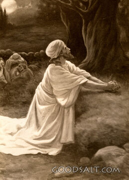 Jesus in Gethsemane