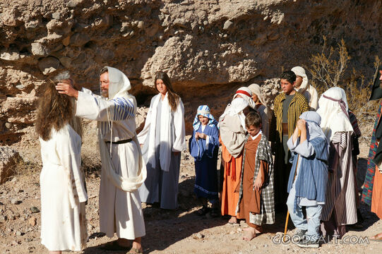 Jesus Lays Hands on a Woman