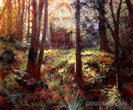 Jesus, Lord of Creation